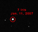 Asteroid 7-Iris