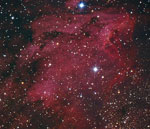 Pelican Nebula (IC 5070)