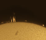 Solar prominences, September 6, 2020