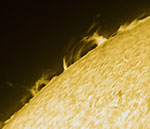 Solar prominences, November 1, 2020