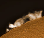 Solar prominences, November 3, 2020